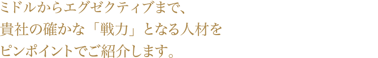 ジュニアからエグゼクティブまで、貴社の確かな「戦力」となる人材をピンポイントでご紹介します。