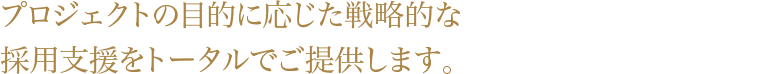 外資・国内を問わず、プロジェクトの目的に応じた戦略的な採用支援をトータルでご提供します。